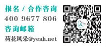 报名|合作咨询